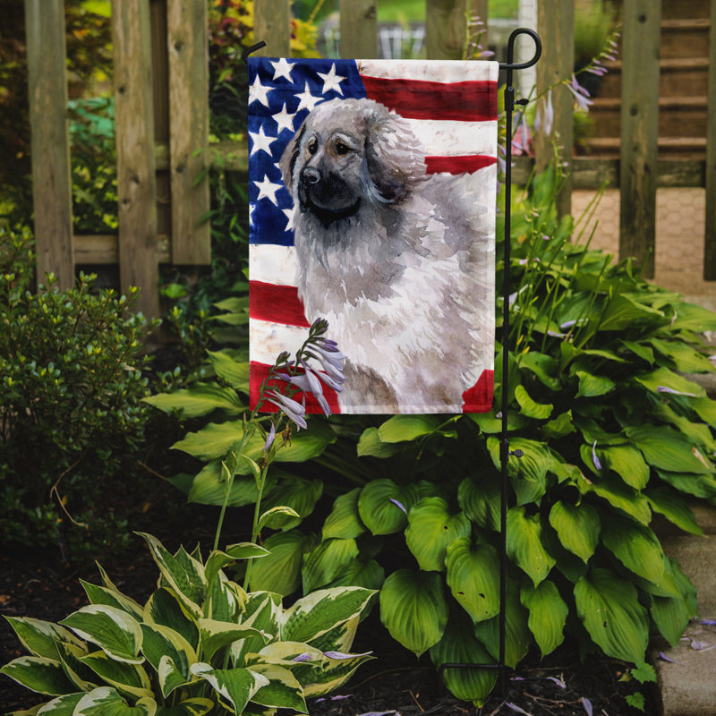2 côtés en polyester de 2 côtés american drapeau de jardin, Mâtin napolitain