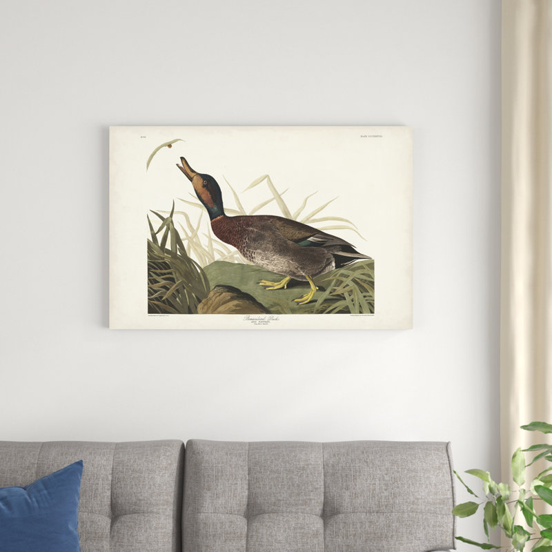 Pl 338 canard émacié, H 24 po x l 36 po