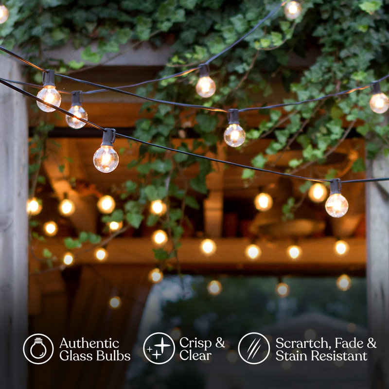 Pro 12-Light 26 ft. Outdoor Plug-In LED 1-Watt G40 Soft Bulb String Lights, Black