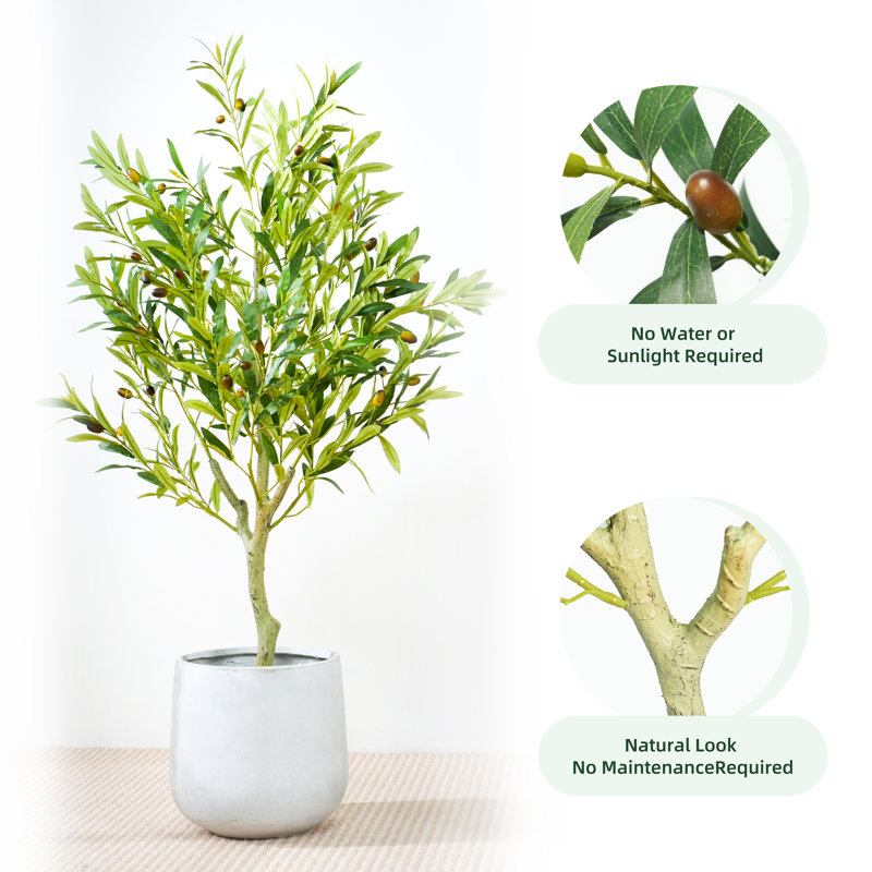 Andreita Faux Olive Tree in Pot, 120cm H  x 30cm W  x 30cm D