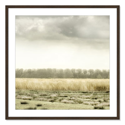 Henri "Meadowland" Print by Danita Delimont