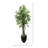Bloom Lacquer Tree in Fiberstone Pot