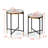 Mirrored Glass Top End Table Set