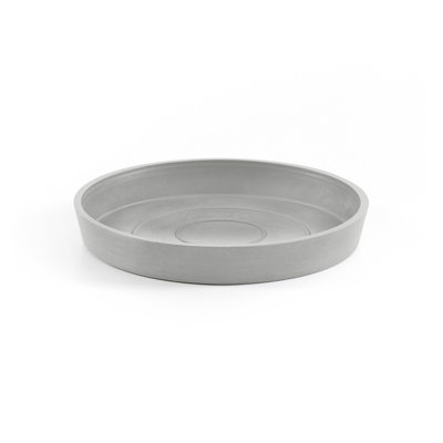 Saucer Plant Stand