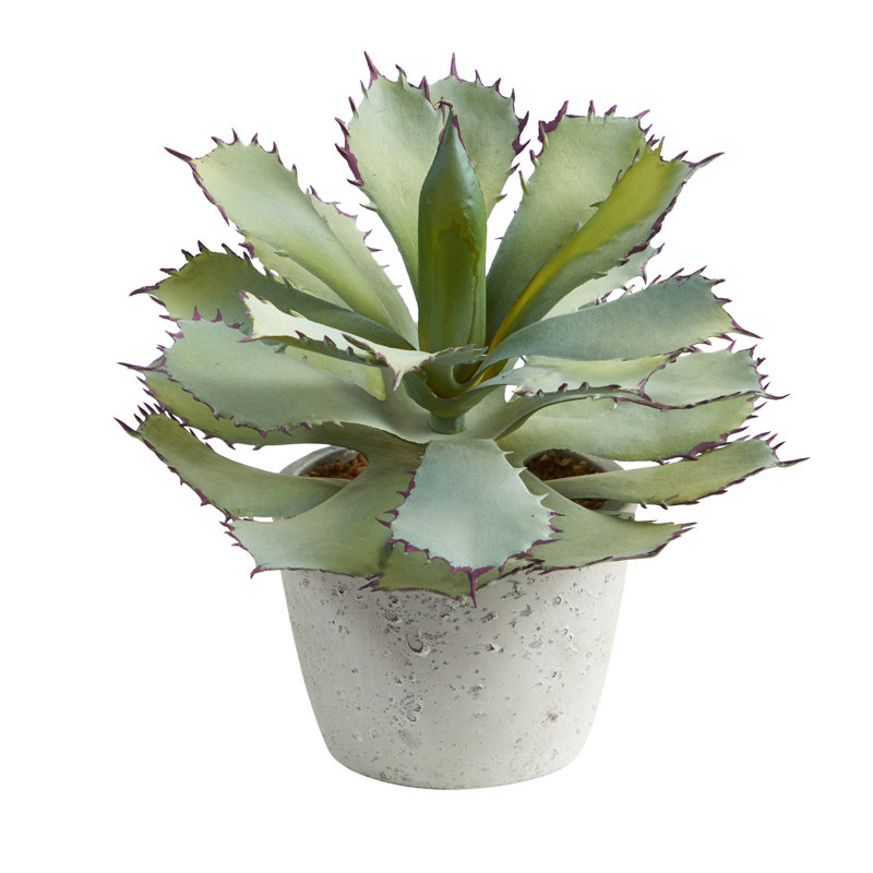 Plante grasse artificielle en pot 11 po