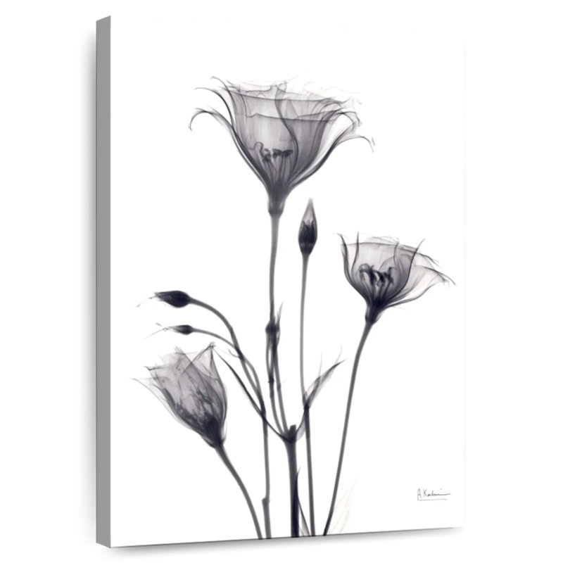 Bouquet de gentiane Harnek, H 24 po x l 16 po