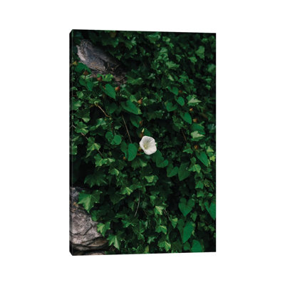 Amalfi Coast Blooms IV by Bethany Young - Print on Canvas