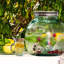 Distributeur de boissons Ginnia-433587463