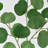 Audet Green Artificial Eucalyptus Branch(1 Stem)