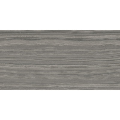 Coffee Talk 12'' W x 24'' L Porcelain Stone Look Singular Tile