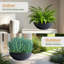 Grand pot à fleurs K22-114407584-114407583