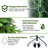 PE&PVC Prelit Christmas Tree-103718679-103718680