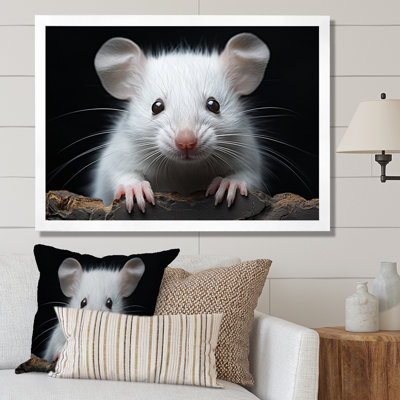 " White Small Rodent Wonders "