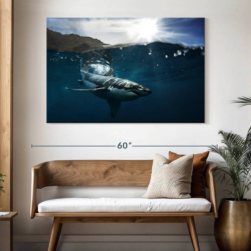Brampt Shark Sunshine, 34" H x 51" W