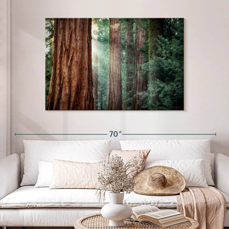 Harnek Sunkissed Sequoia Trees, 32" H x 48" W