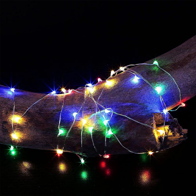 Schlitz 67.2' LED Battery Powered 200 - Bulb Rope Lights String Light, Multicolor