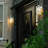 Delaenie Wall Light-1482883616