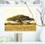Acacia sur une plaine d'Afrique - reproduction de photo-697528487-692519007
