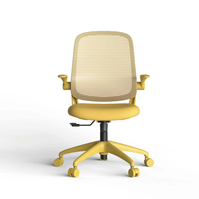 Ergonomic Colorful Office Chair 350LBS Home Office Mesh Breathable High Back, With Adjustable Lumbar Support Computer Chair, Integrated Molded Foam Se