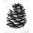 " Pine Cone "