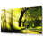 Green Nature Dual Monitor-Other - 3 Piece Wrapped Canvas Print-127671372