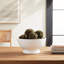Talullah Decorative Bowl-1528679442