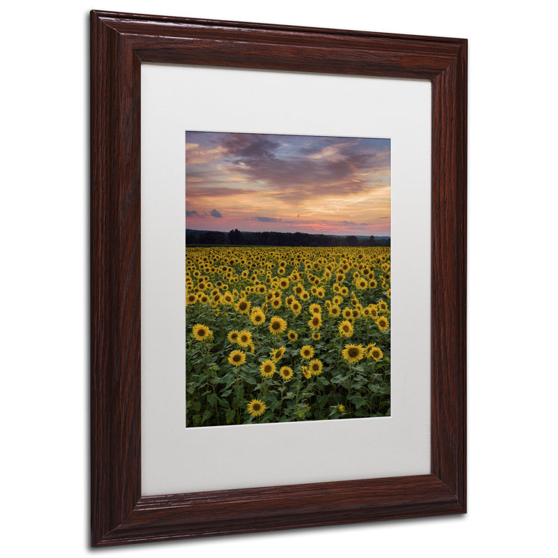 « tournesol », reproduction de photo sur toile encadrée, H 14 po x l 11 po x P 0,5 po, Blanc