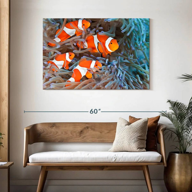 Corbeau poisson clown, H 30 po x l 45 po