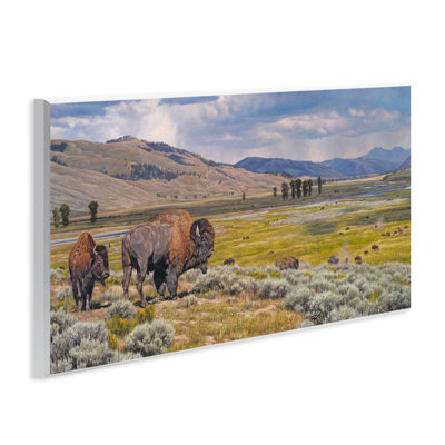 Roaming Southwestern Bison Wall Plaque Art by David Graham