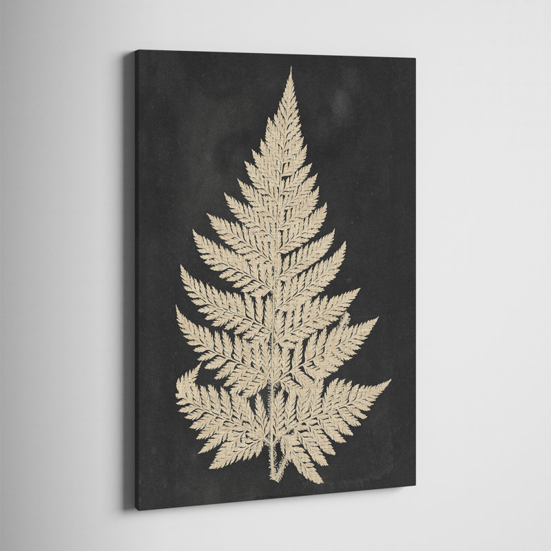 Linen Fern I - impression sur toile tendue, H 48 po x l 32 po x P 1 po
