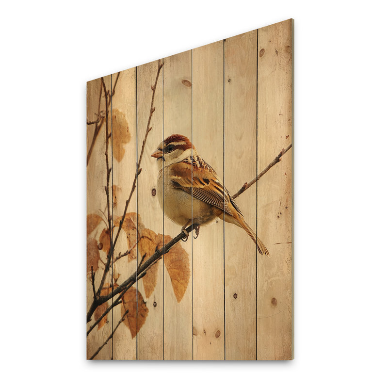 Curious Sparrow II - Bird Wood Print - On Natural Pine Wood, 44" H x 34" W x 0.78" D