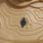 Step2 Dino Dig Sand and Water Table