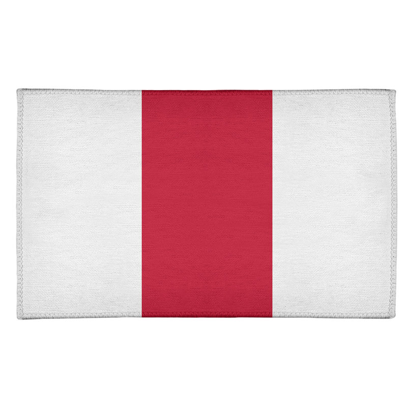Chenille Indoor Rug, Rectangle 2' x 3'