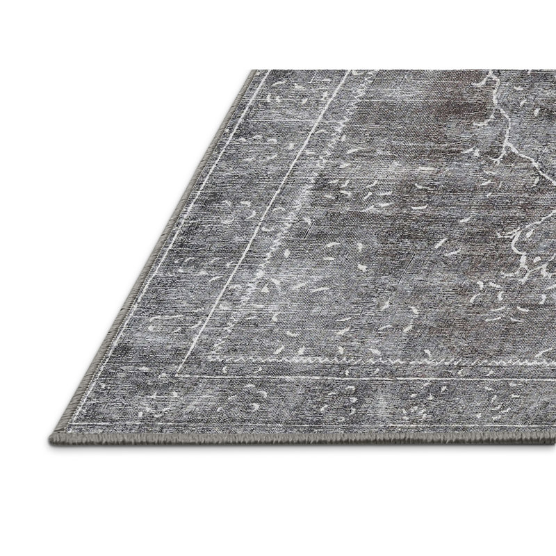 Oriental Indoor Rug, Rectangle 4' x 6'