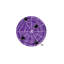 Assiettes et gobelets jetables en papier Purple Web pour Halloween - Fournitures de fête pour les occasions festives