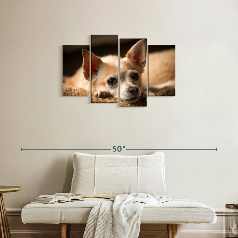 Brampt Resting Chihuahua, 22" H x 36" W