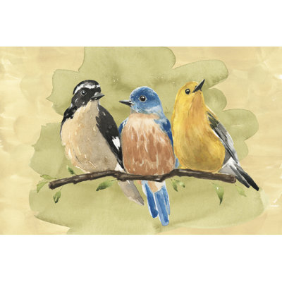Perche d'oiseau IV