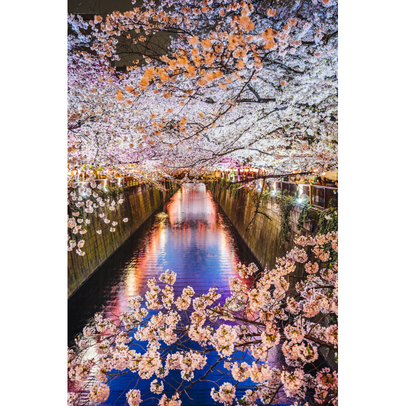 Cherry Blossoms Season In Tokyo, Japan by FilippoBacci - No Frame Art Prints on Canvas, 30cm H x 20cm W