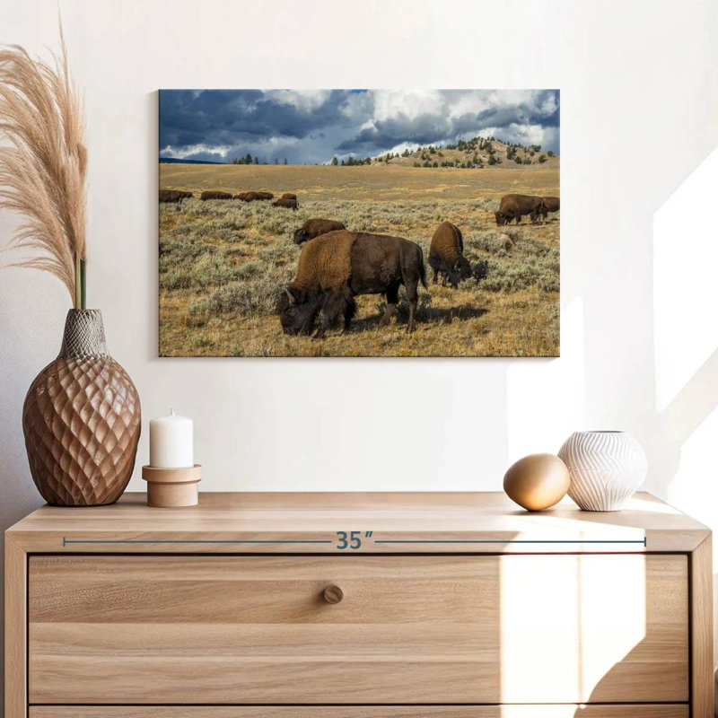 Brampt Yellowstone Bison, 20" H x 30" W