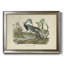 Audubons Louisiana Heron - reproduction d'art sur toile-1297843520