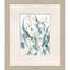 Underwater Botany Set by Barnes Propac Images