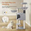 160 cm H Cat Tree / Condo-703475459