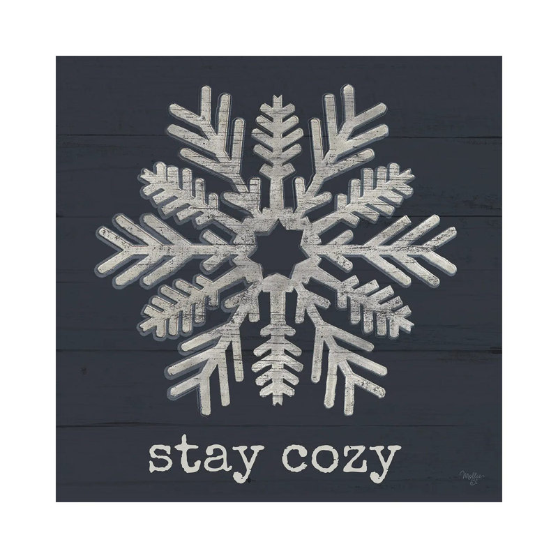 «Stay Cozy Snowflake», reproduction d'art sur toile tendue, Toile tendue, Ne s’applique pas, H 12 po x l 12 po