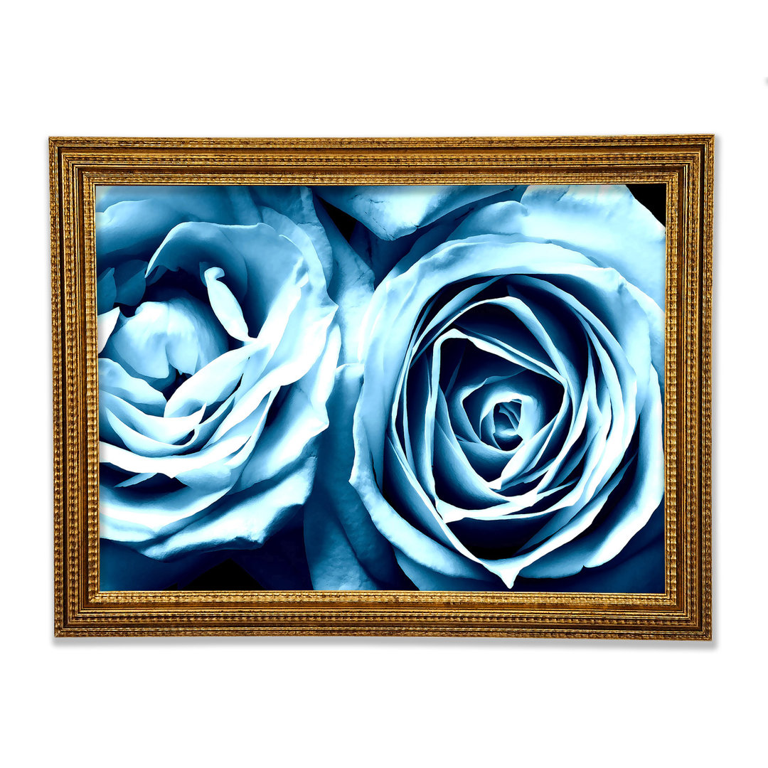 Gerahmtes Leinwandbild Twin Blue Roses