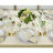 100% Pure Linen Tablecloth - Fete-109264052-89180498