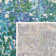 Wambaw Performance Abstract Rug