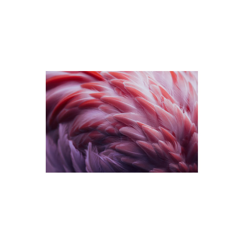 Wrapped Canvas Print, 50.8 cm H x 76.2 cm W