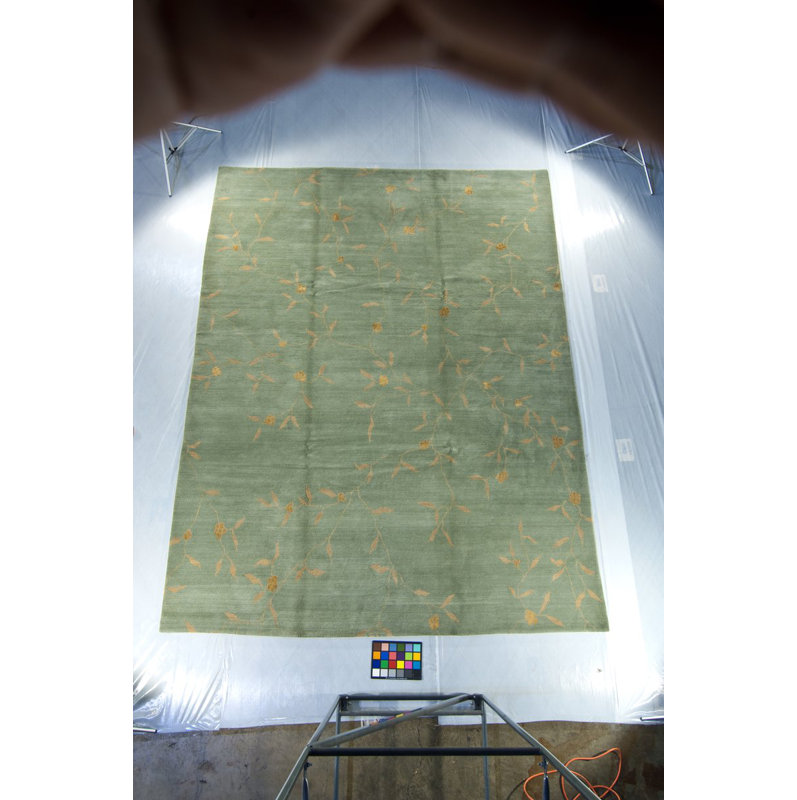 Climbing Floral Area Rug in Blue/Green/Yellow, Rectangle 8' x 10'