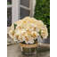 Cream Hydrangea in Rope Glass Vase-329598712