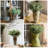Silk Cloth Orchid Arrangement-25131581